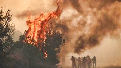  4.1 مليار يورو.. خسائر أوروبا الاقتصادية من حرائق الغابات